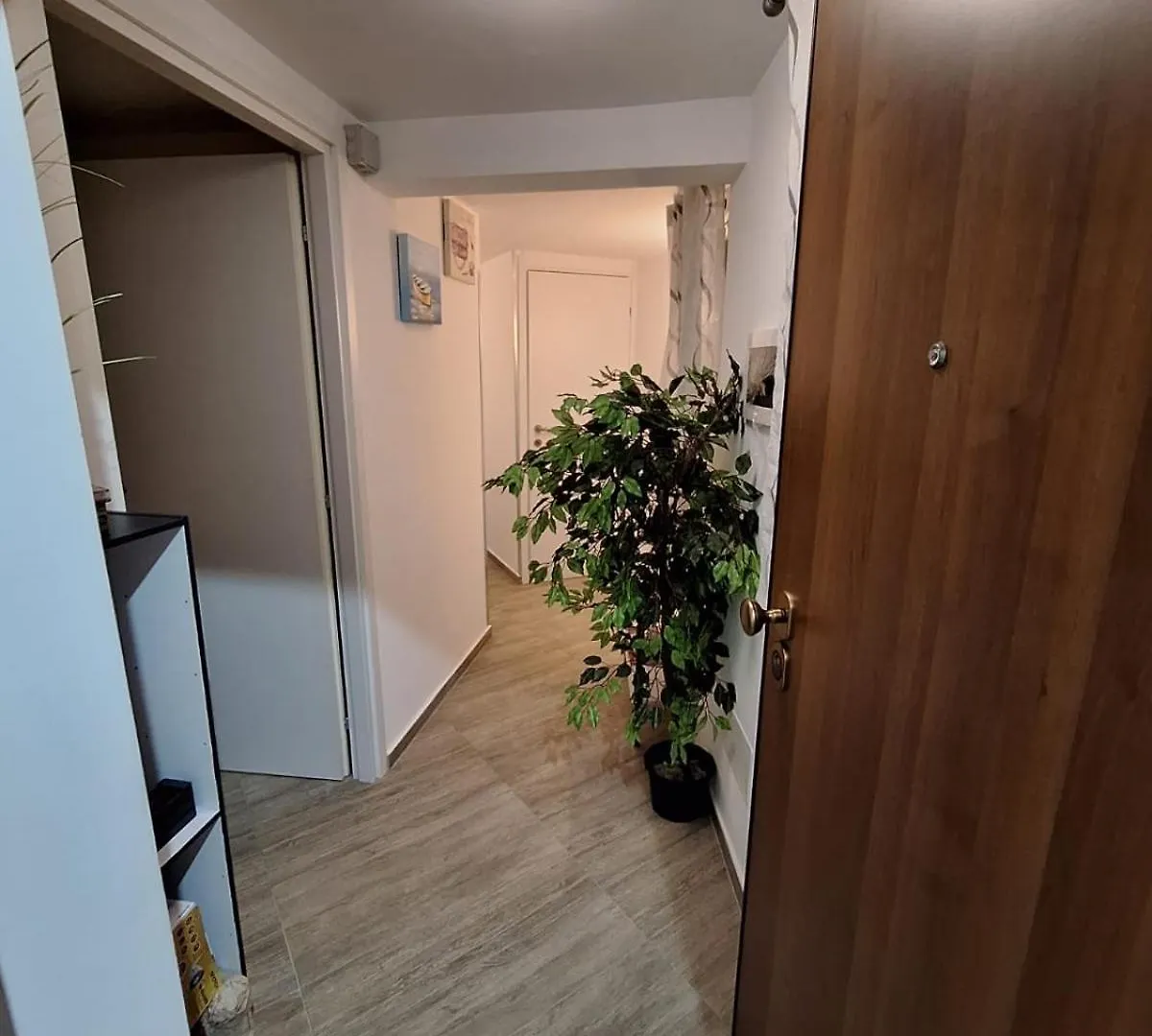 Tra I Normanni E Cattedrale Apartament Palermo
