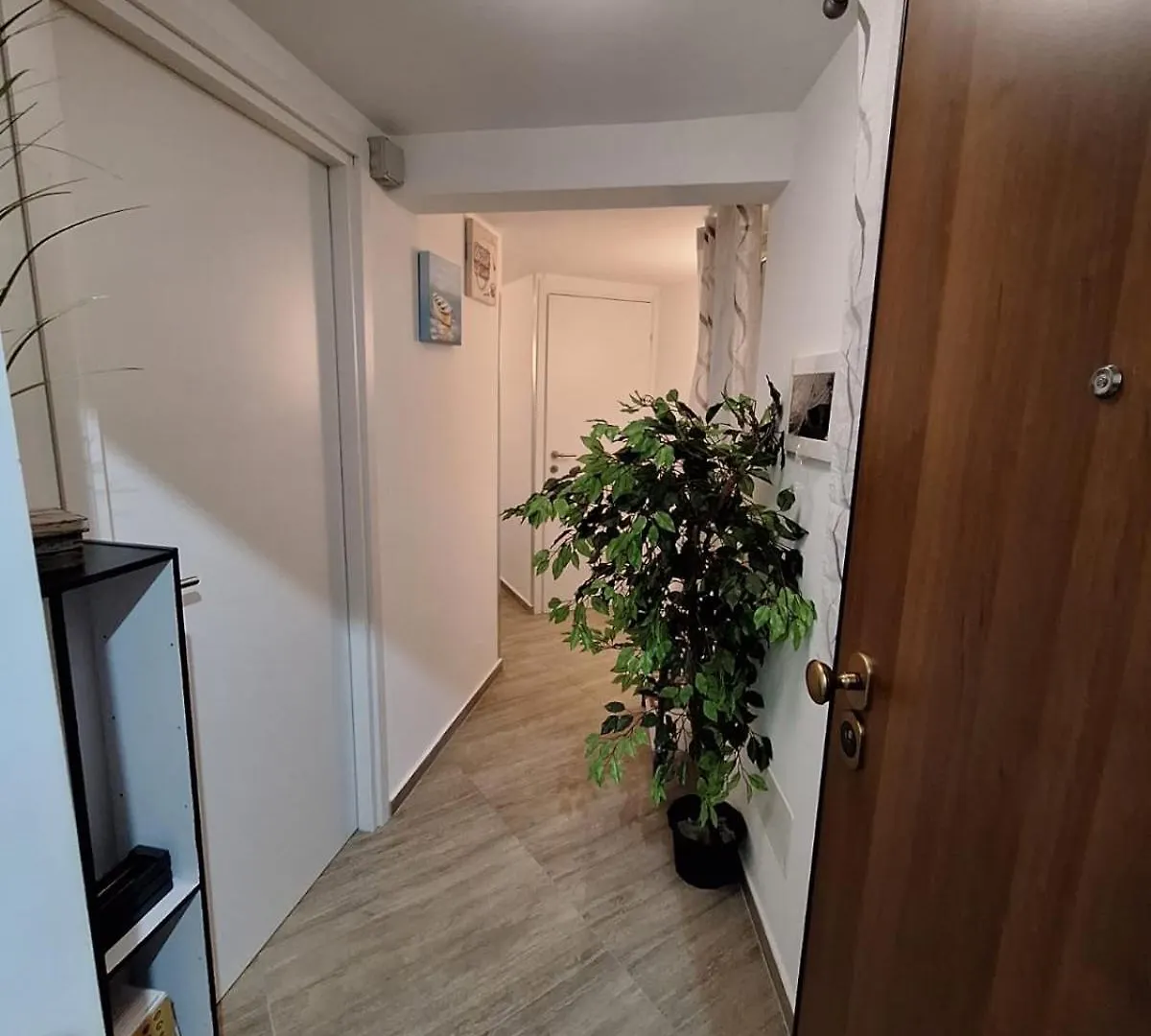 Daire Tra I Normanni E Cattedrale Apartament Palermo